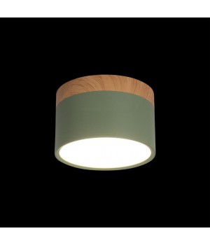 10162 Green Накладной светильник LOFT IT Grape-foto2