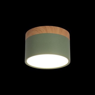 10162 Green Накладной светильник LOFT IT Grape-foto2