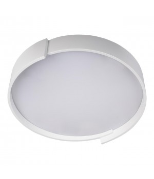 10200 White Потолочный светильник LOFT IT Coin-foto3