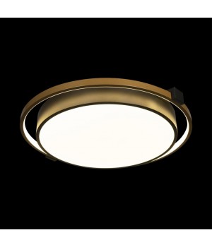 10170 Потолочный светильник LOFT IT Mike-foto2