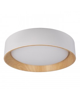 10202 White Потолочный светильник LOFT IT Coin