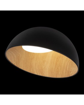 10197/500 Black Потолочный светильник LOFT IT Egg-foto2