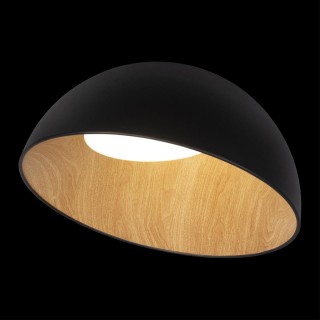10197/500 Black Потолочный светильник LOFT IT Egg-foto2