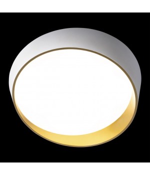 10199 White Потолочный светильник LOFT IT Coin-foto4