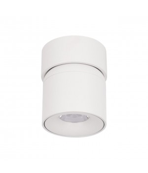 10180 White Накладной светильник LOFT IT Tictac-foto4