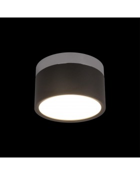 10179/12 Black Накладной светильник LOFT IT Photon-foto2