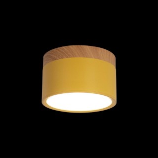 10162 Yellow Накладной светильник LOFT IT Grape-foto2