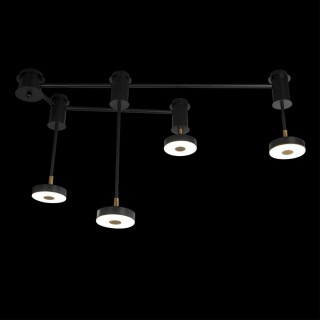 10189/1000 Потолочный светильник LOFT IT Flock-foto4