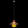10113 Orange Подвесной светильник LOFT IT Floret
