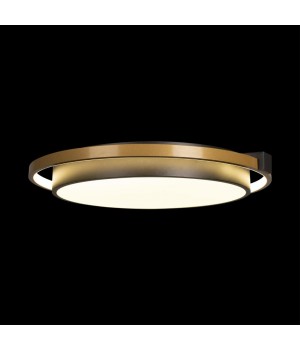 10170 Потолочный светильник LOFT IT Mike-foto4