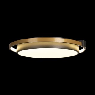 10170 Потолочный светильник LOFT IT Mike-foto4