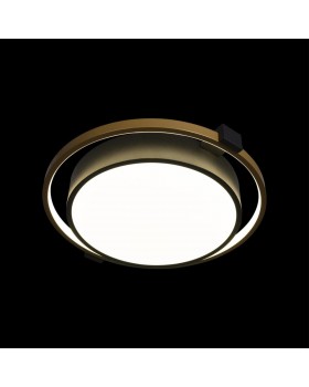 10169 Потолочный светильник LOFT IT Mike-foto2