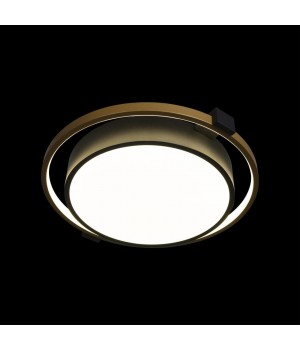 10169 Потолочный светильник LOFT IT Mike-foto2