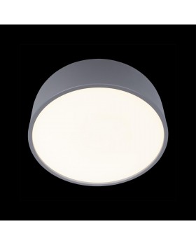 10201/350 Grey Потолочный светильник LOFT IT Axel-foto4