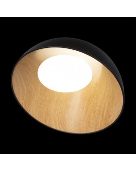 10197/500 Black Потолочный светильник LOFT IT Egg-foto4