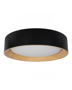10202 Black Потолочный светильник LOFT IT Coin