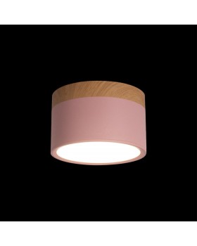 10162 Pink Накладной светильник LOFT IT Grape-foto2