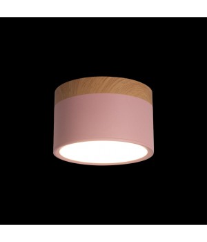 10162 Pink Накладной светильник LOFT IT Grape-foto2