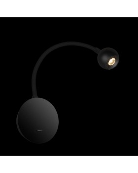 10254 Black Настенный светильник LOFT IT Point-foto2