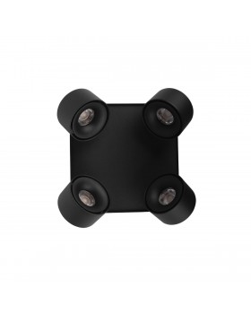 10326 Black Накладной светильник LOFT IT Case-foto3