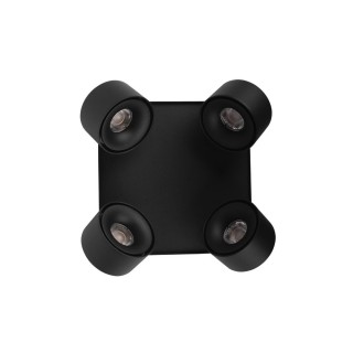 10326 Black Накладной светильник LOFT IT Case-foto3