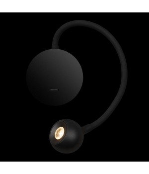 10254 Black Настенный светильник LOFT IT Point-foto6