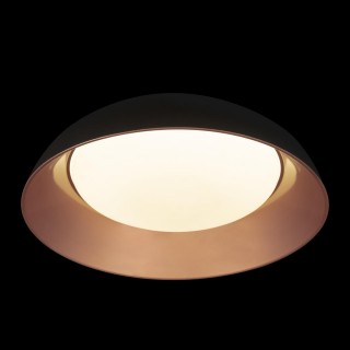 10229 Black Потолочный светильник LOFT IT Cappello-foto4