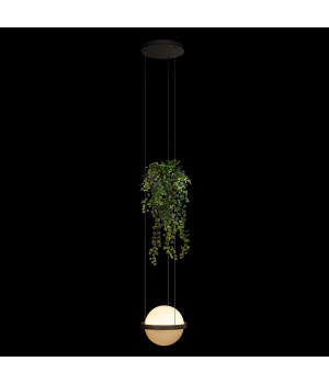 10121/1P Dark grey Подвесной светильник LOFT IT Jardin-foto2