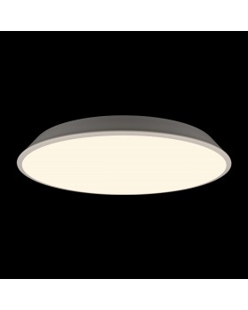 10226 White Потолочный светильник LOFT IT Brim-foto2