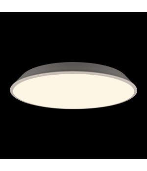 10226 White Потолочный светильник LOFT IT Brim-foto2