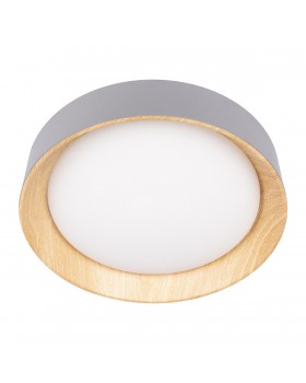 10202 Grey Потолочный светильник LOFT IT Coin-foto5