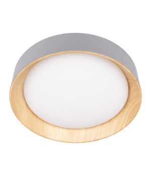 10202 Grey Потолочный светильник LOFT IT Coin-foto5