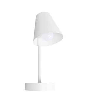 10216/1W White Настенный светильник LOFT IT Shelf-foto3