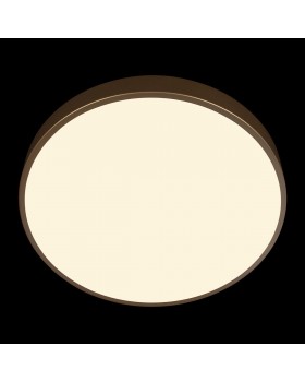 10228/A Потолочный светильник LOFT IT Flims-foto6