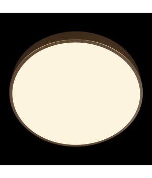 10228/A Потолочный светильник LOFT IT Flims-foto6