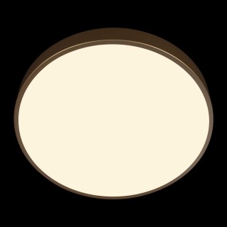 10228/A Потолочный светильник LOFT IT Flims-foto6