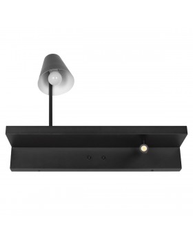 10216/2W Black Настенный светильник LOFT IT Shelf-foto5