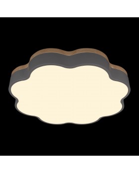 10225/36 Grey Потолочный светильник LOFT IT Axel-foto2