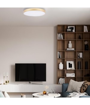 10228/A Потолочный светильник LOFT IT Flims-foto7