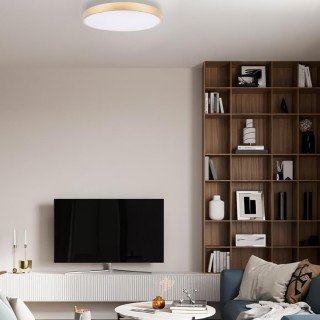 10228/A Потолочный светильник LOFT IT Flims-foto7