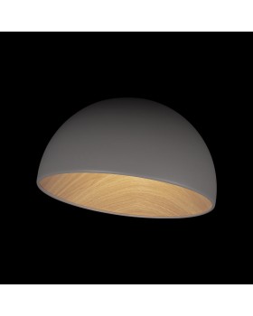 10197/350 Grey Потолочный светильник LOFT IT Egg-foto4