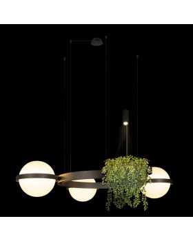 10121/3 Dark grey Подвесной светильник LOFT IT Jardin-foto2
