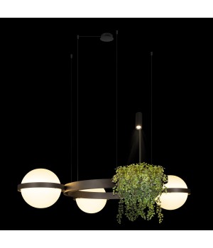 10121/3 Dark grey Подвесной светильник LOFT IT Jardin-foto2