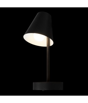 10216/1W Black Настенный светильник LOFT IT Shelf-foto6