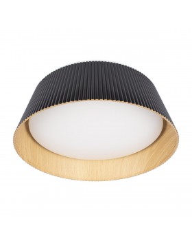 10224 Black Потолочный светильник LOFT IT Evans-foto3