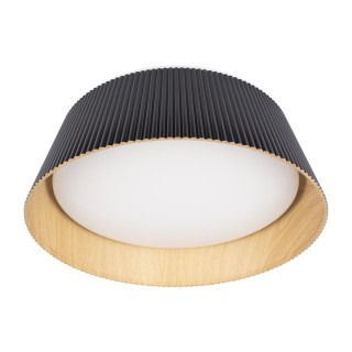 10224 Black Потолочный светильник LOFT IT Evans-foto3