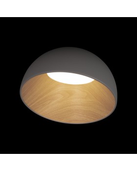 10197/350 Grey Потолочный светильник LOFT IT Egg-foto2