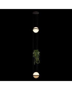 10121/2P Dark grey Подвесной светильник LOFT IT Jardin-foto2