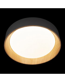 10202 Grey Потолочный светильник LOFT IT Coin-foto6