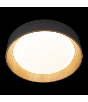 10202 Grey Потолочный светильник LOFT IT Coin-foto6